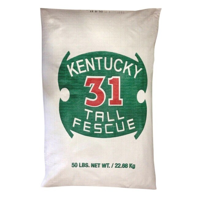 Kentucky 31 Tall Fescue, Grass Seed, (1 Lb. pack), Kentucky 31 Field and Turf