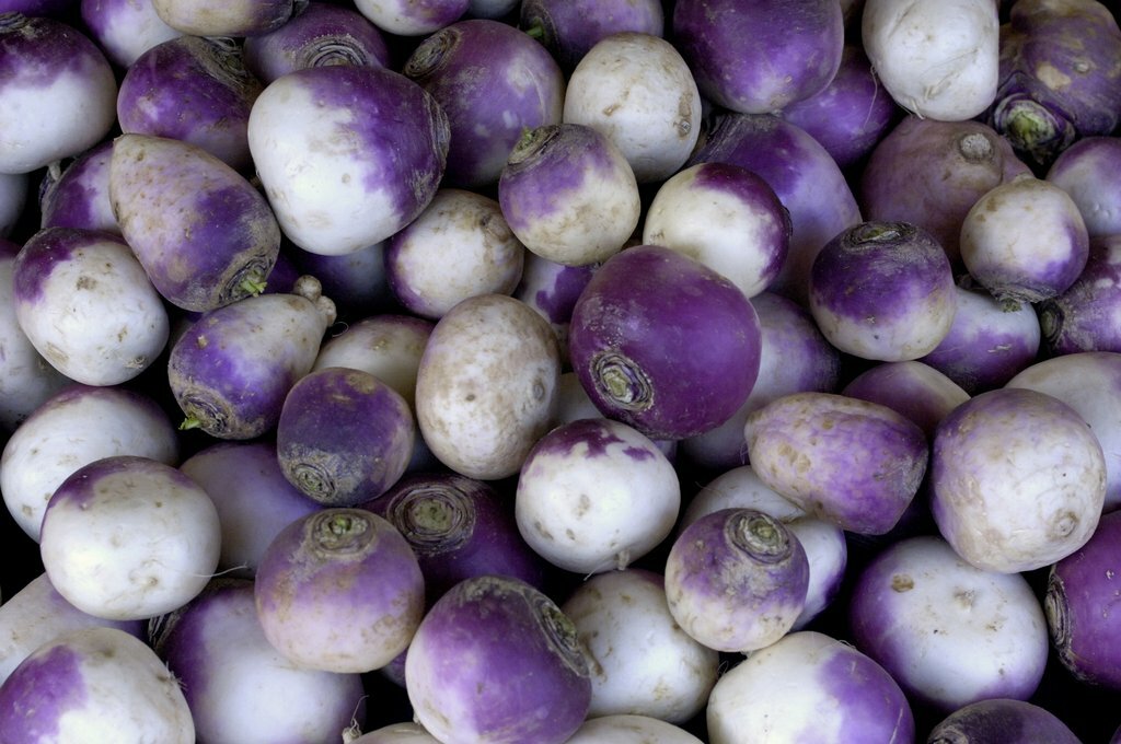 Rutabaga Seeds 500+ American Purple Top Vegetable NON-GMO HEIRLOOM FREE SHIPPING