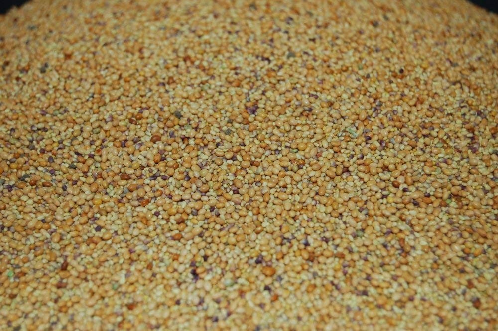 Clover Seed Mix 3 Part Garden Soil Cover Natural Attractant 5lb Heavy Duty