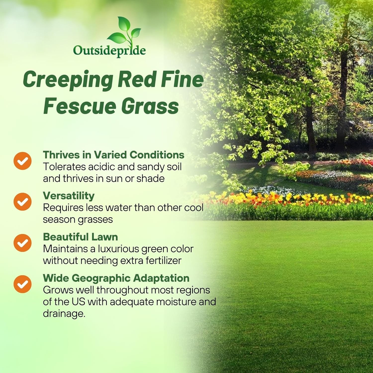 5 LBS – OptiGrowth Coated Creeping Red Fescue Grass Seed For Shade