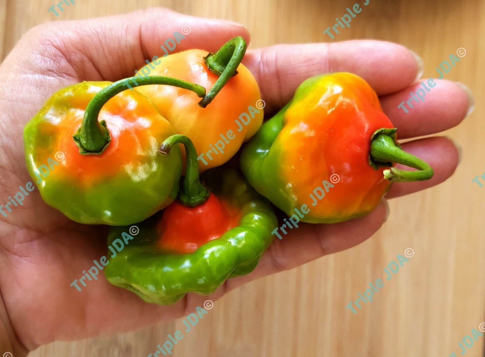 Aji Dulce de Puerto Rico 75 Fresh Seeds Capsicum Chinense Sweet Pepper