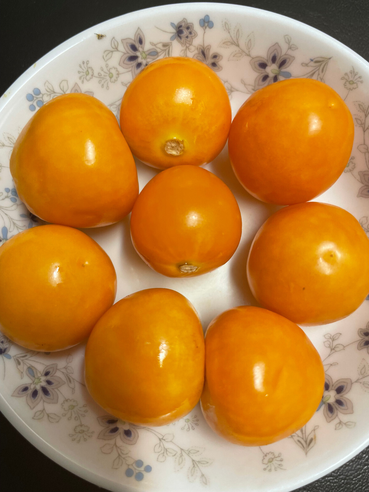 CAPE GOOSEBERRY SEEDS 50+ LARGE FRUIT Ground Cherry HUSK TOMATO Goldenberry