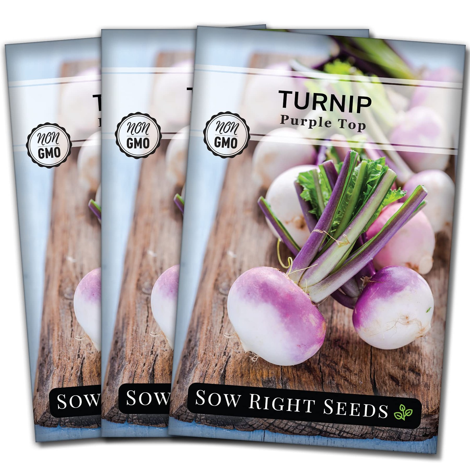 Purple Top White Globe Turnip Seeds NonGMO Heirloom for Vegetable Gardens