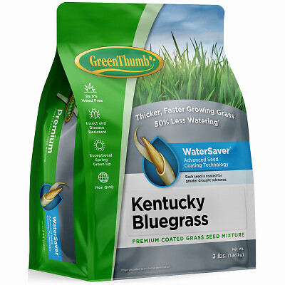 Green Thumb GREUN210 Premium Coated Kentucky Bluegrass Seed, 3 Lbs., Covers