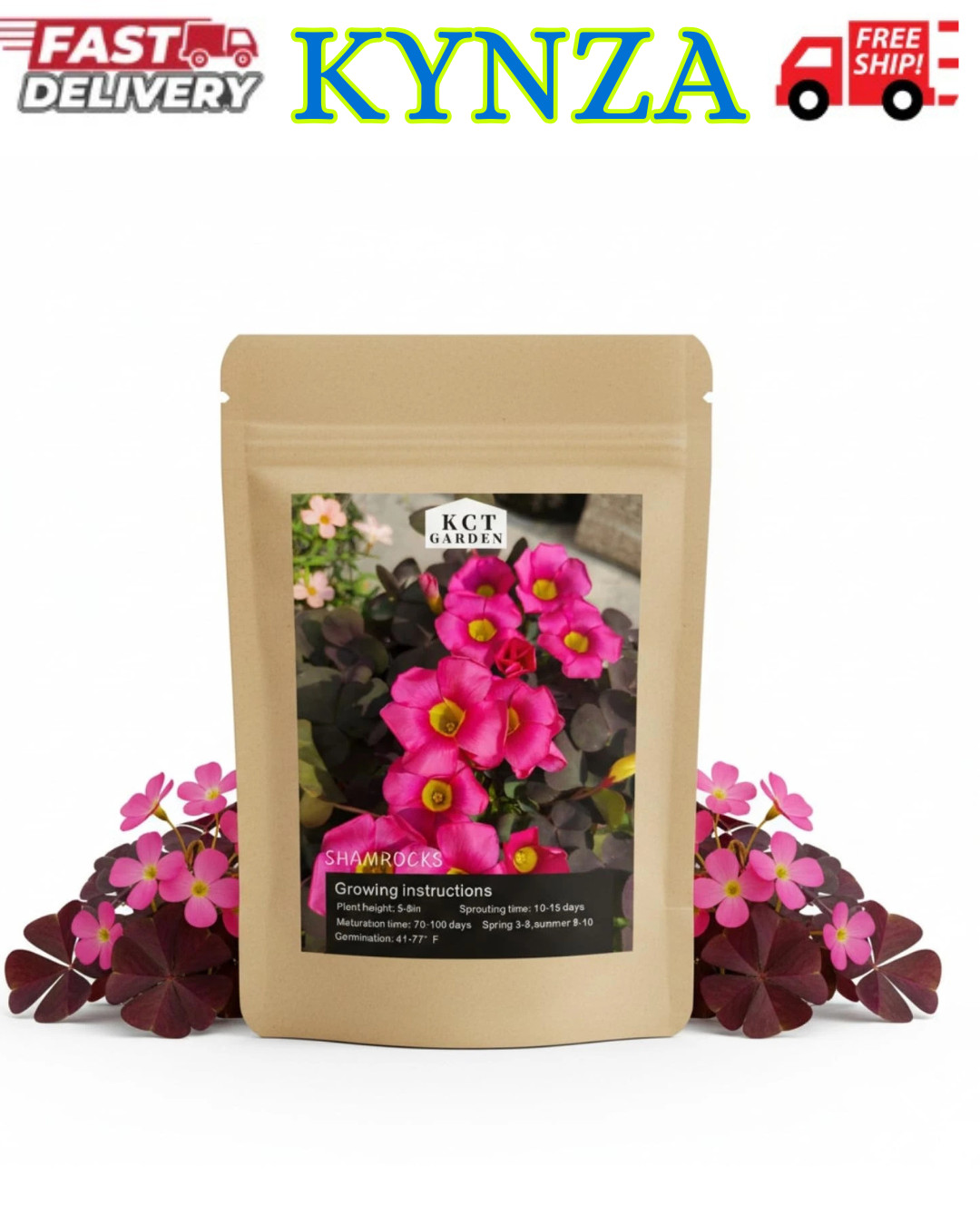 12 Purple Shamrock Bulbs Oxalis Triangularis for Planting, Flower Bulbs Indoo…