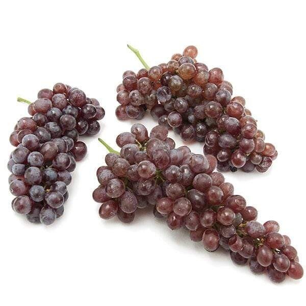Rare Grape Zante Currant or Black Corinth 3 cuttings , no roots