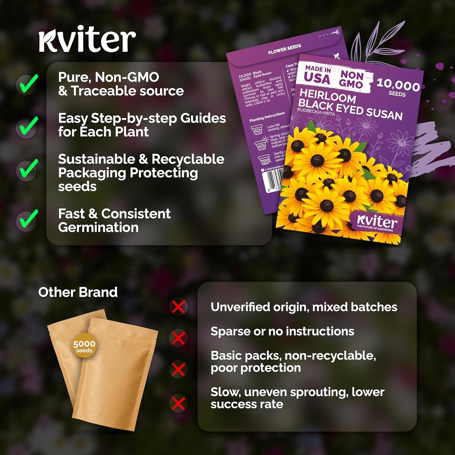 Wildflower Seed Pack Black Eyed Susan for Summer Blooming Gardens