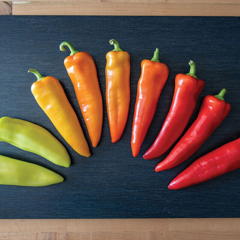 30+ HUNGARIAN HOT WAX PEPPER SEEDS NON-GMO FRESH FOR YOUR GARDEN