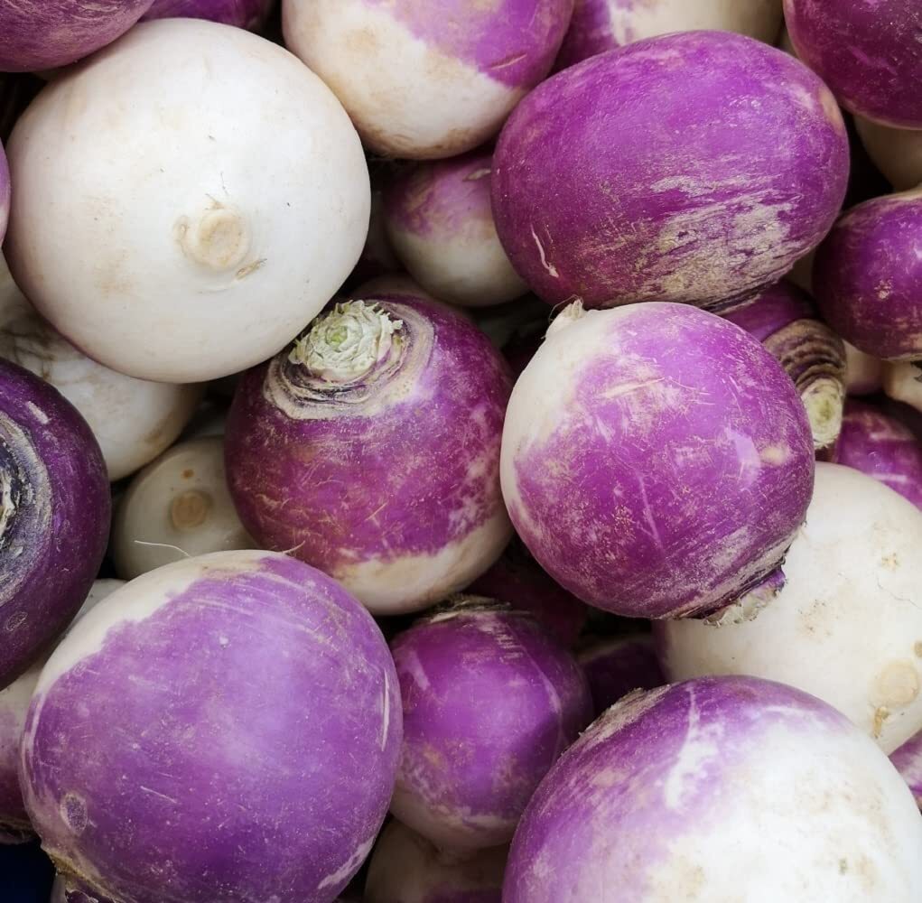 Turnip Seeds for Planting | Purple Top Turnip Seeds | Non-GMO & Heirloom | Plant