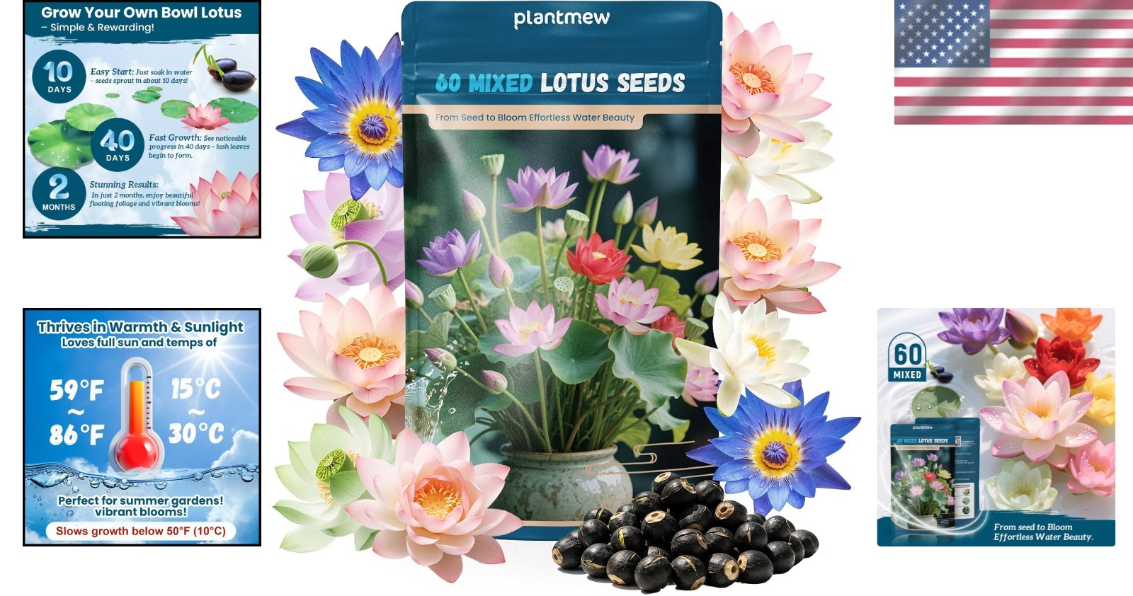 Heirloom Bowl Lotus Seeds – 60 PCS for Stunning Water Gardens & Air Purification