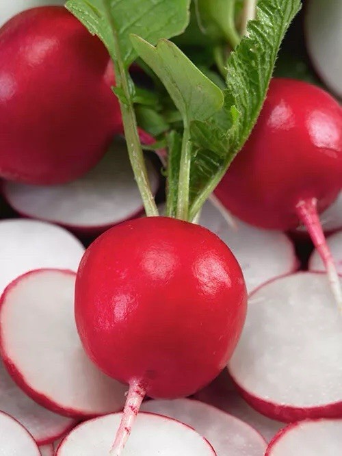 Early Scarlet Globe Radish, 150+ Fresh Seeds, ~Heirloom~ NON-GMO ~ Organic| USA