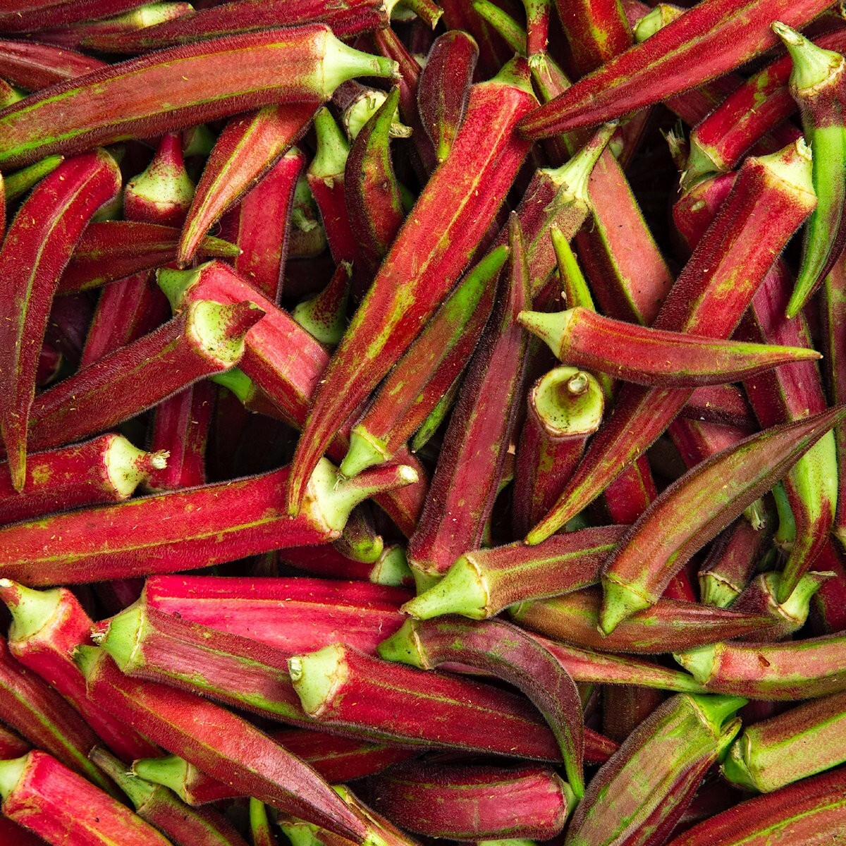 1/4 Lb Red Burgundy Okra Seeds – Everwilde Farms Mylar Seed Packet