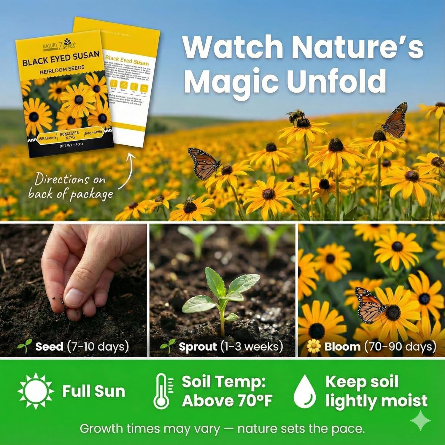Black Eyed Susan Seeds for Planting, 5000 Seeds, Giving You Beautiful Black Eyed