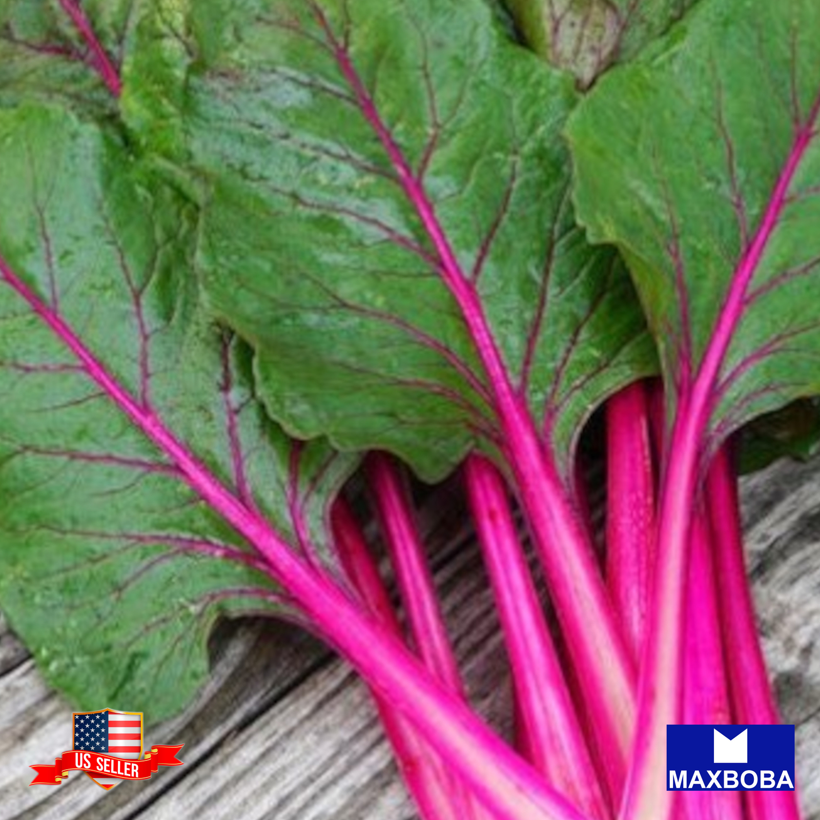 Swiss Chard Seeds Pink Lipstick Non-GMO Heirloom