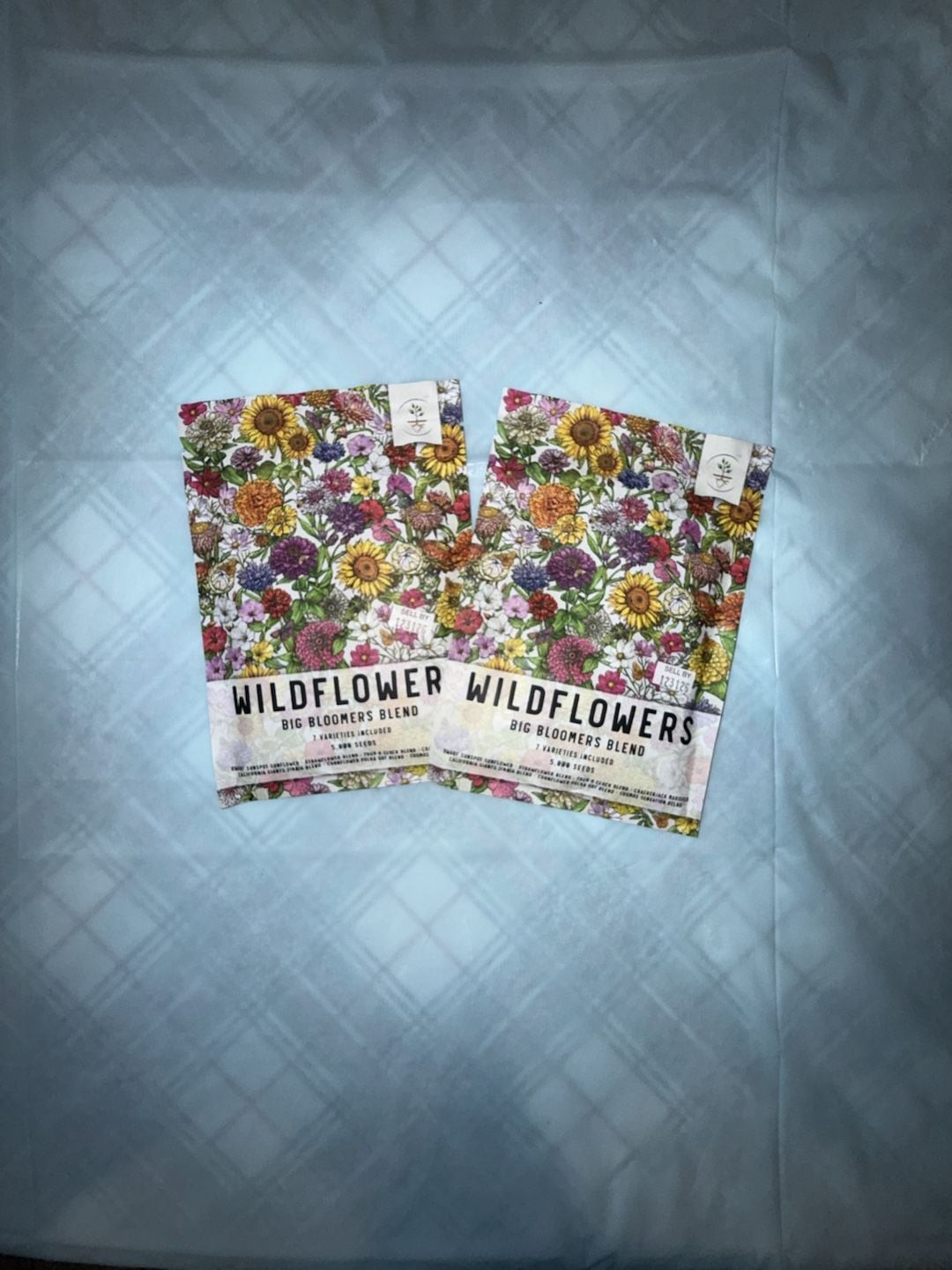Seed Needs Wildflower Big Bloomers Blend 5,000 Seeds (2 Pack)