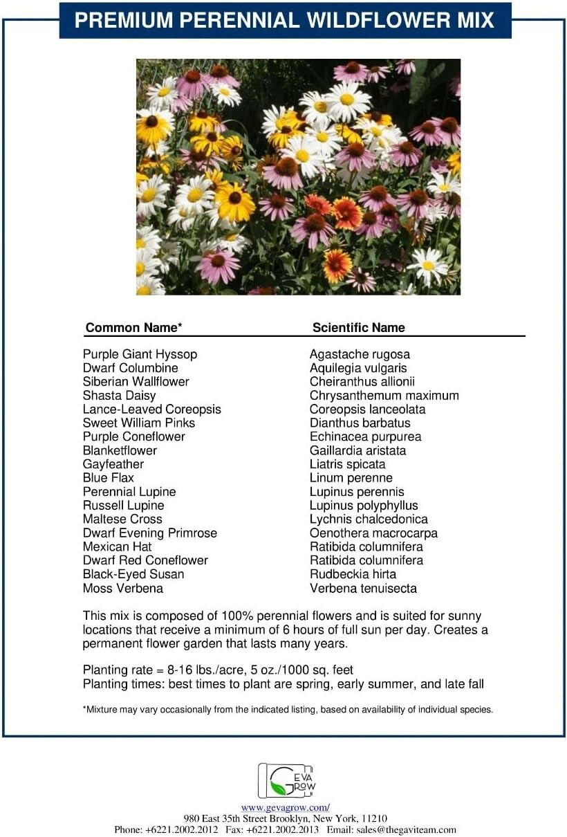 Perennial Wildflower Seed Mix Shaker – 900,000 Seeds for Vibrant Outdoor Spaces