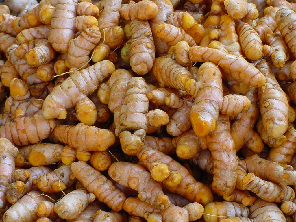 ~Organic Fresh Turmeric Root~ 2 lbs or more Ships & Grown in HAWAII not Florida