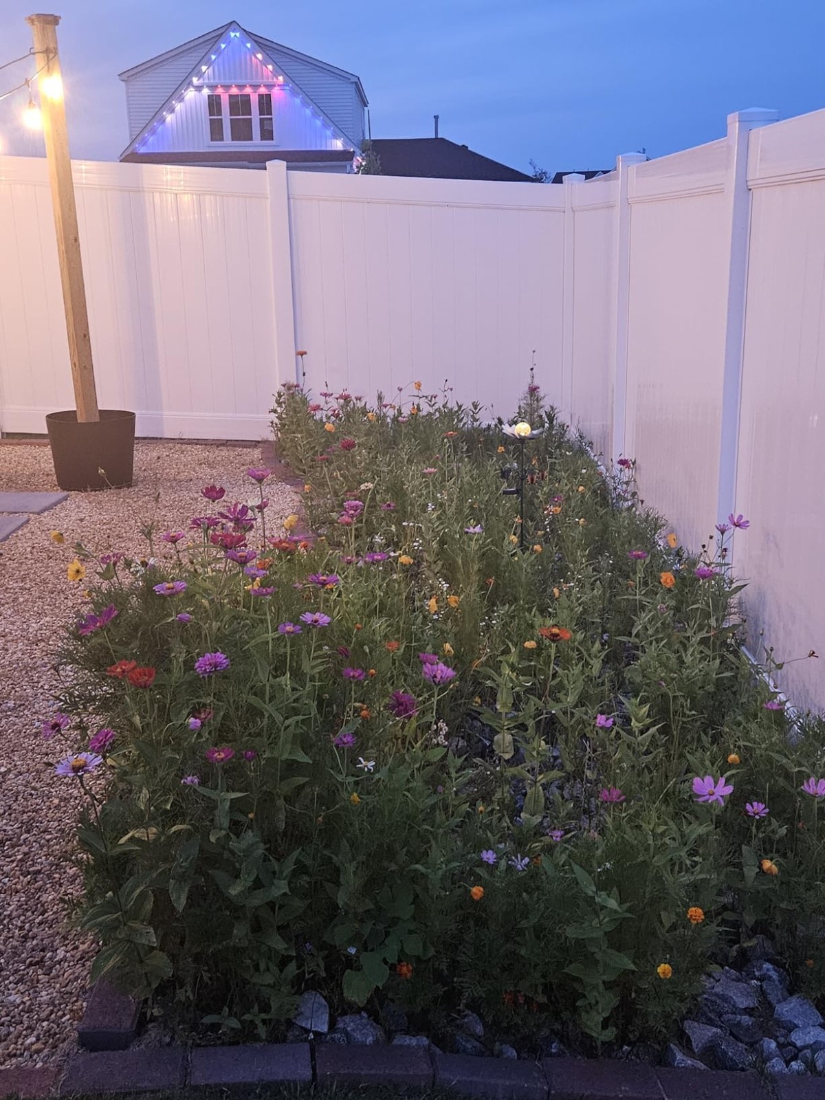 National Wildflower Seed Collection – Vibrant Mix for Butterflies & Hummingbirds
