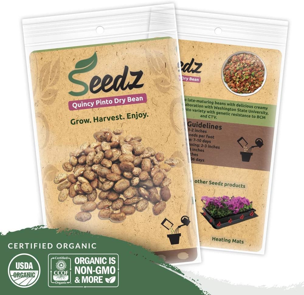 Organic Bean Seeds, Appr. 115, Pinto Dry Bean, Heirloom Vegetable Seeds, Certifi