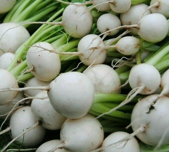 WHITE EGG TURNIP SEEDS 1000+ VEGETABLE garden SOUP stews STIR FRY FREE SHIPPING