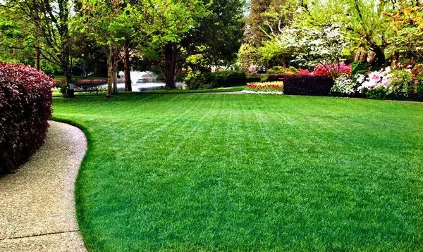 SiLT Containment Solutions- PremiumTurf Grass Seed- 1lb (200 sq. ft)
