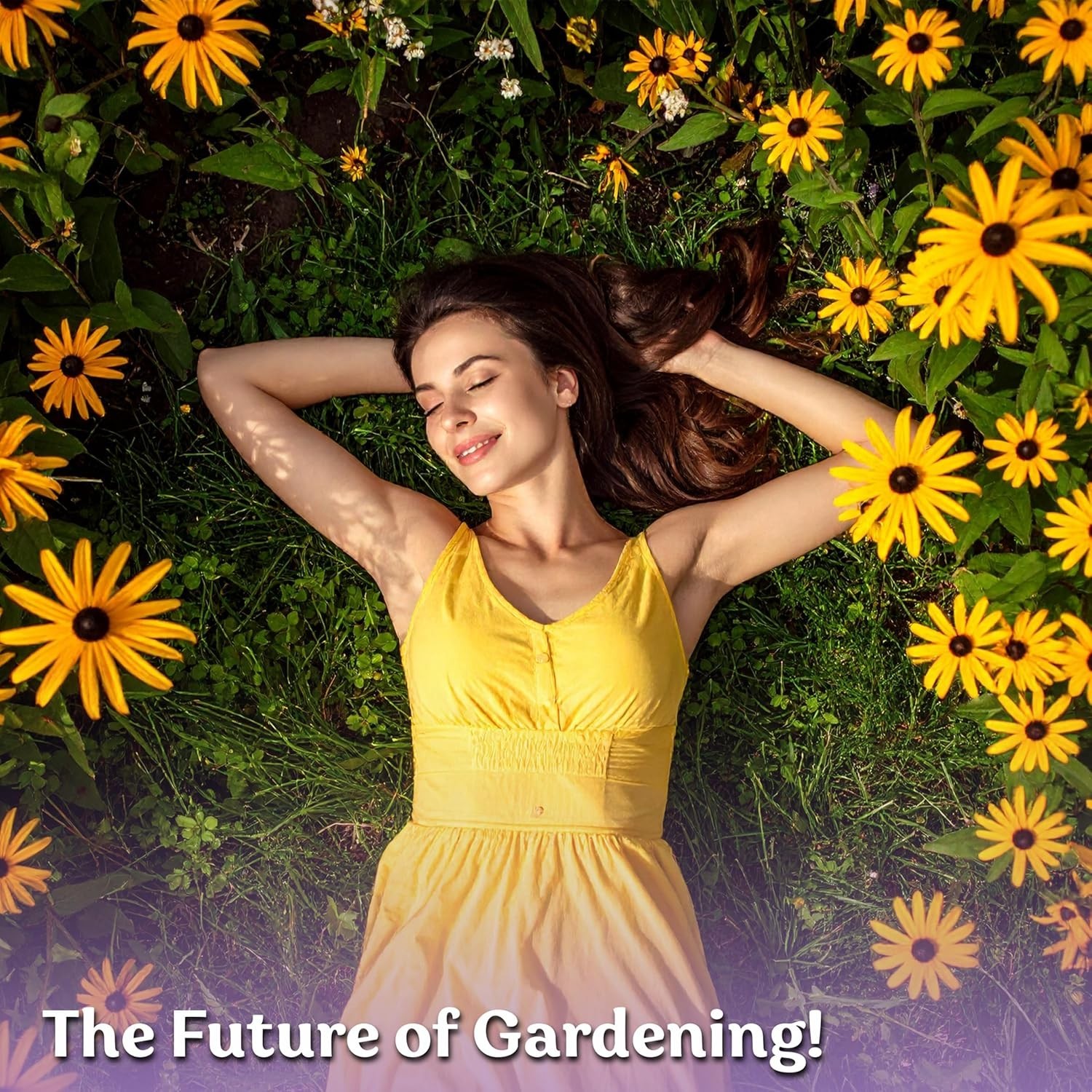 Wildflower Seed Pack Black Eyed Susan for Summer Blooming Gardens