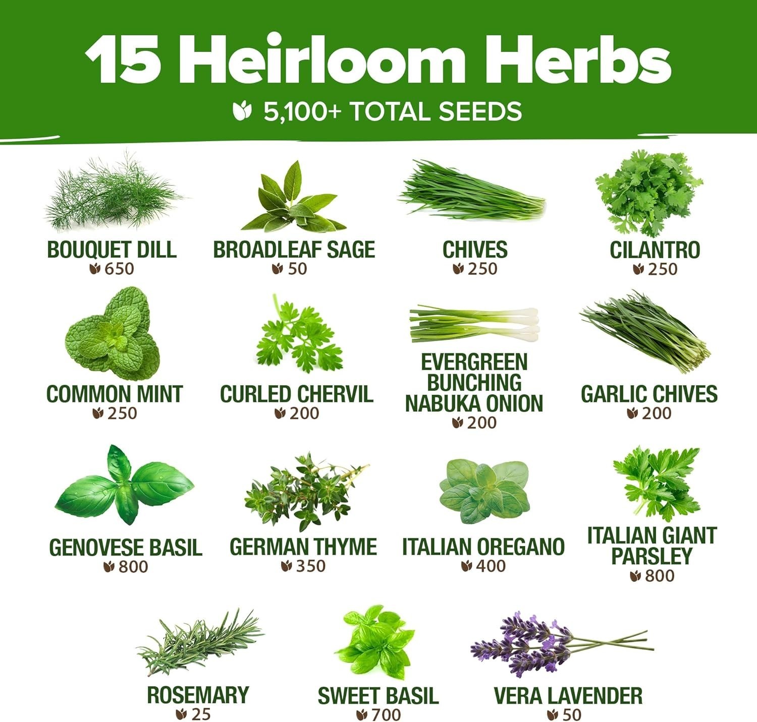Complete Culinary Herb Seed Collection – 15 Varieties for Every Garden