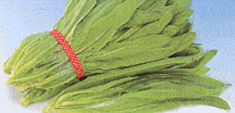 2000 Sword Leaf Lettuce Pointed Leaf Lettuce Seeds “a choy” Non-GMO