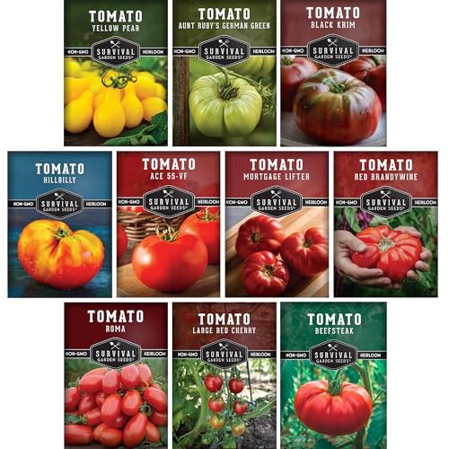 Tomato Seeds 10 Variety Pack for Planting – Black Krim, Roma, Cherry, Aunt