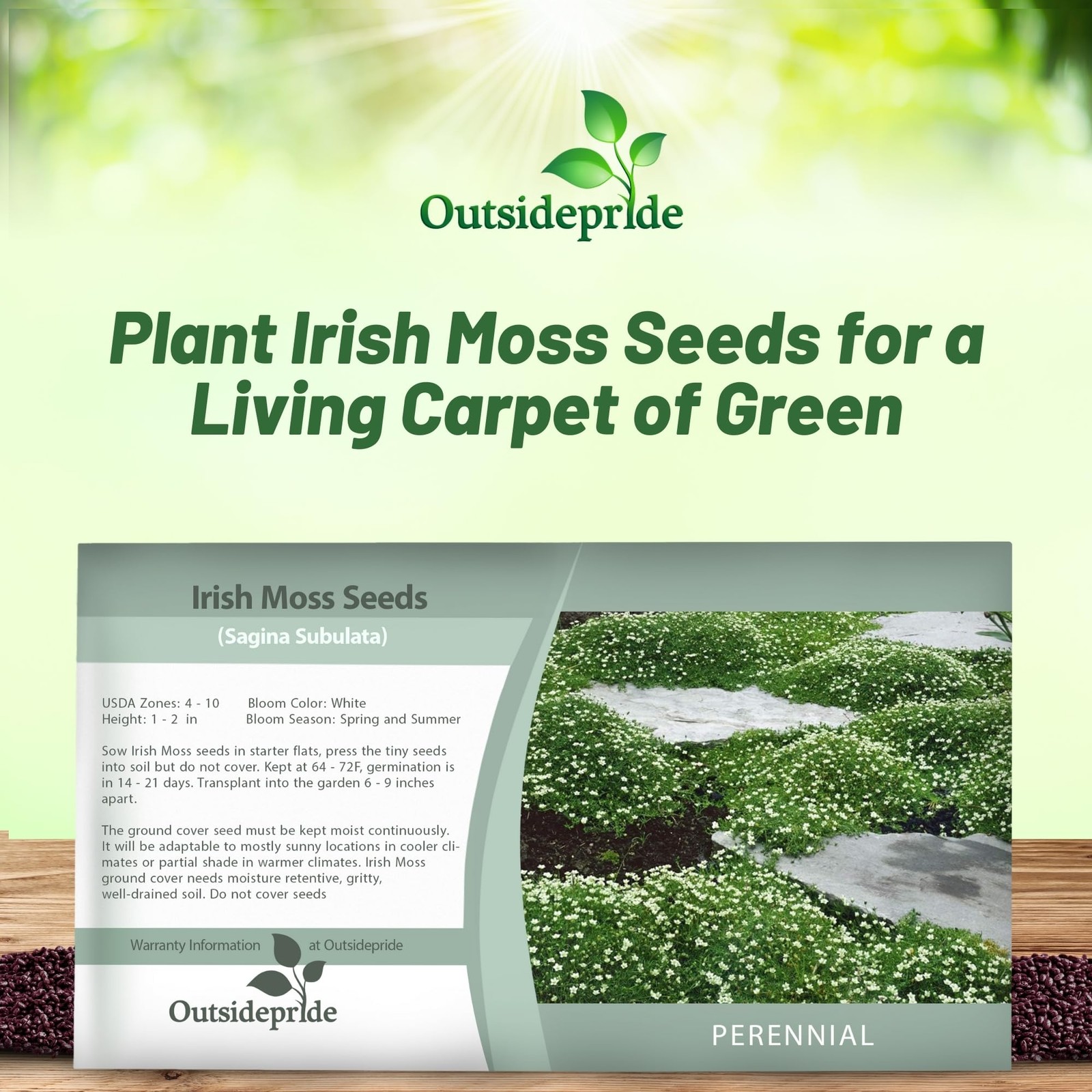Irish Moss Ground Cover Seeds – 10000 Pcs Perennial Low Growing, Mat-Forming Law
