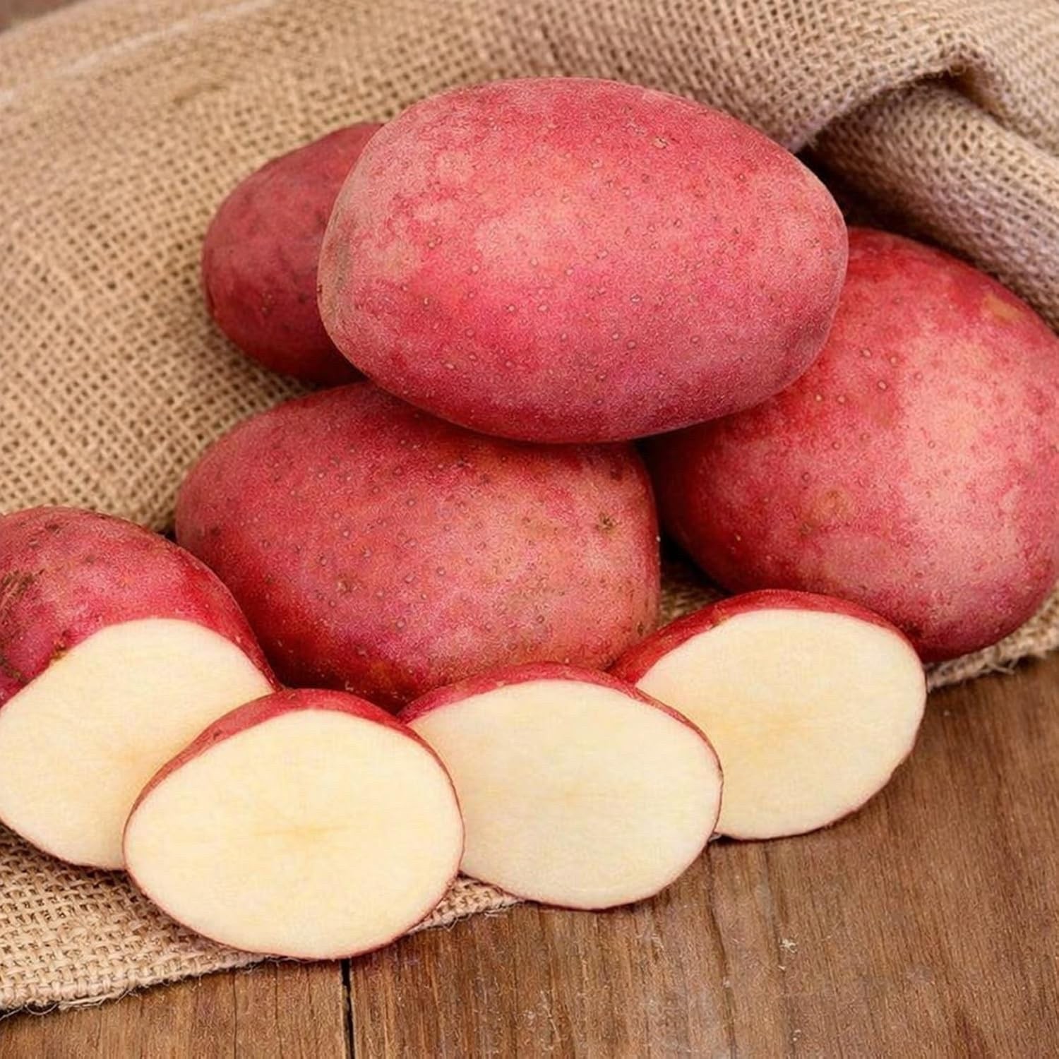 LaSoda Seed Potatoes for Planting | Smooth Red Skin (10 Pounds)