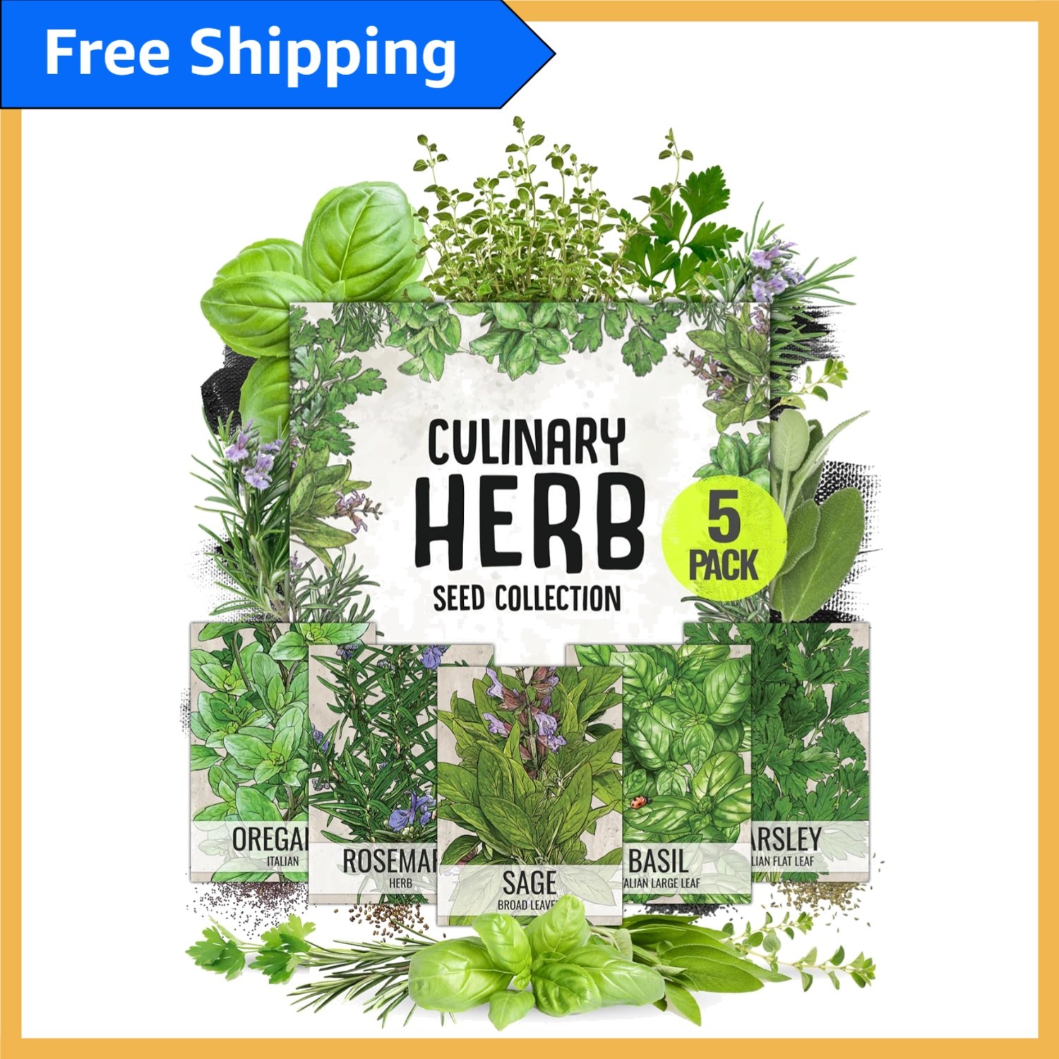 Grow Your Own Heirloom Indoor Herb Garden with 5 Fresh Non-GMO Seed Varieties