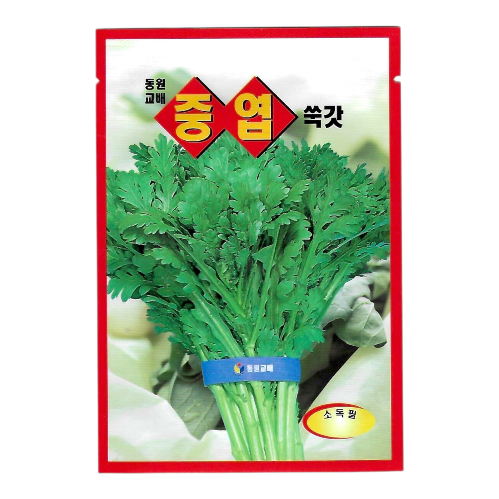 Korean Crown Daisy Seeds 1 Pack | Aromatic Leafy Green for Soup & Hot Pot (쑥갓)