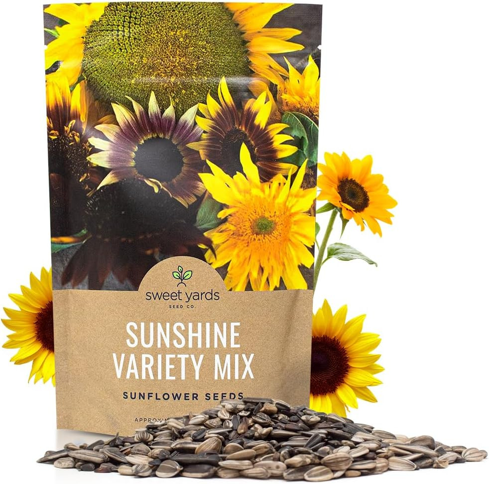 Bulk Sunflower – Variety Mix 10 Types of Beautiful Sunflowers – 1/4 Pound Bag O