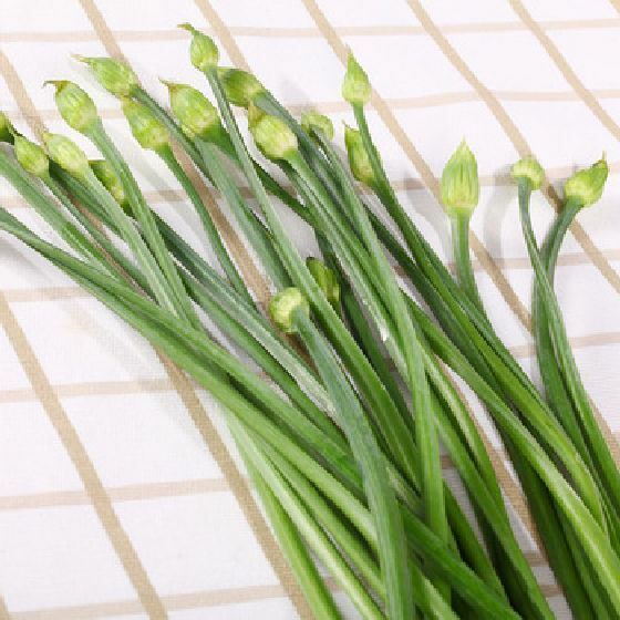 125 Seeds, CHINESE FLOWERING GARLIC LEEK CHIVES E113.5 Herb Perennial Vigorous