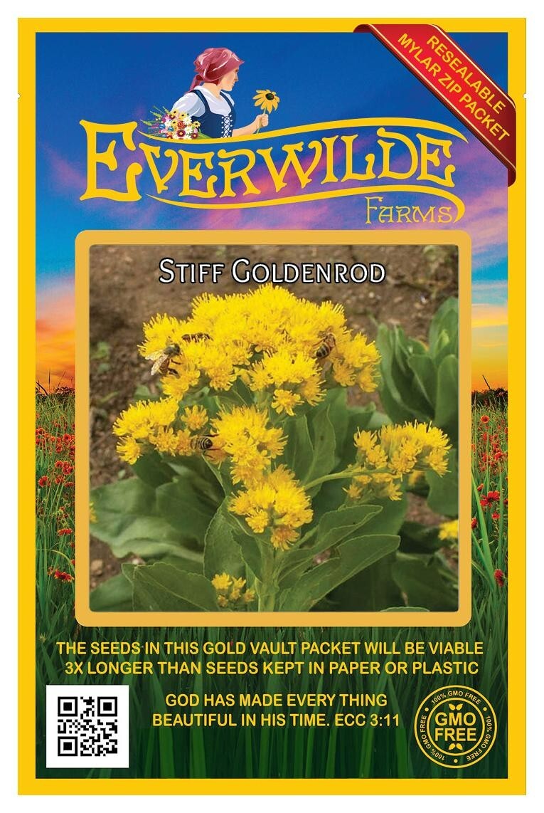 1750 Stiff Goldenrod Wildflower Seeds – Everwilde Farms Mylar Seed Packet