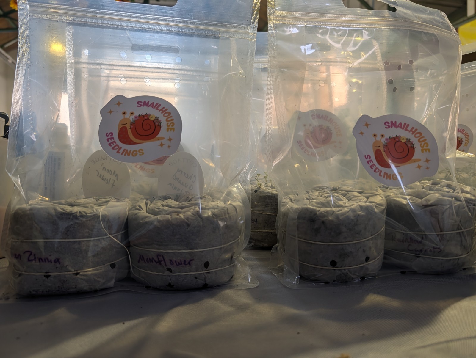 Teddy Bear Sunflowers – SEED SNAIL – Packed with seeds and ready to grow!