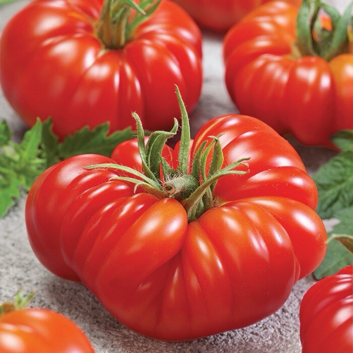 RARE Tomande Hybrid Tomato Seeds 15+ NON-GMO | ORGANIC | HEIRLOOM | FREE SHIP