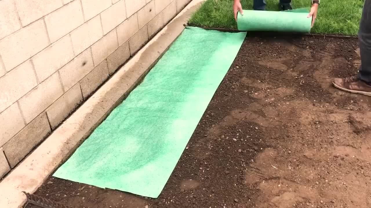 50 sq. ft. Quick Fix Year Round Green Mixture
