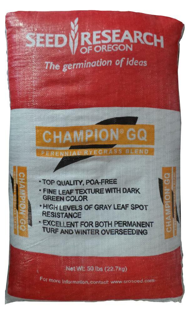 Champion GQ Perennial Ryegrass Seed – 50 Lbs.