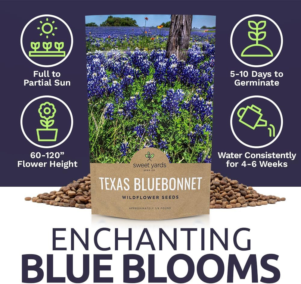 Texas Bluebonnet Wildflower Seeds – Bulk 1/4 Pound Bag – Over 4,000 Native Seeds