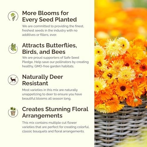 Wildflower Mixed Seeds for Partial Shade – 120,000+ Seeds, Attracts Pollinators,