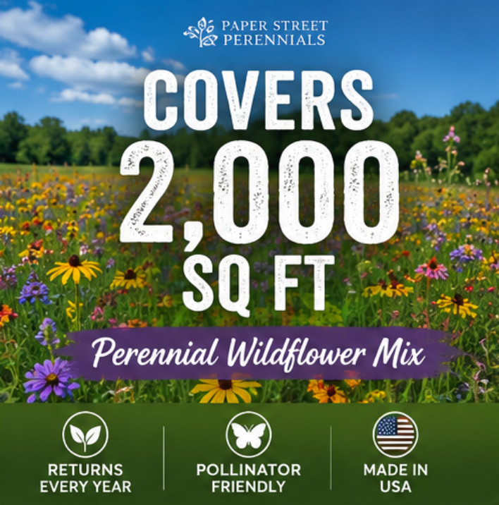 Wildflower Seeds for Bees & Butterflies Perennial Mix 1 lb Covers 2,000 Sq Ft