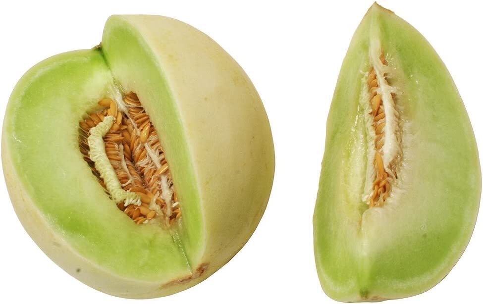 Cantaloupe Melon Honey Dew Green Flesh Heirloom by Seed Kingdom 1 Oz Seeds