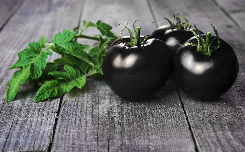 100 Black Cherry Tomato Seeds – Made in USA – Dwarf Fruit Seeds