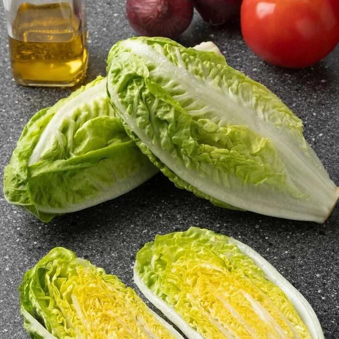 1000+ Little Gem Butterhead Lettuce Seeds ————– Heirloom — Organic