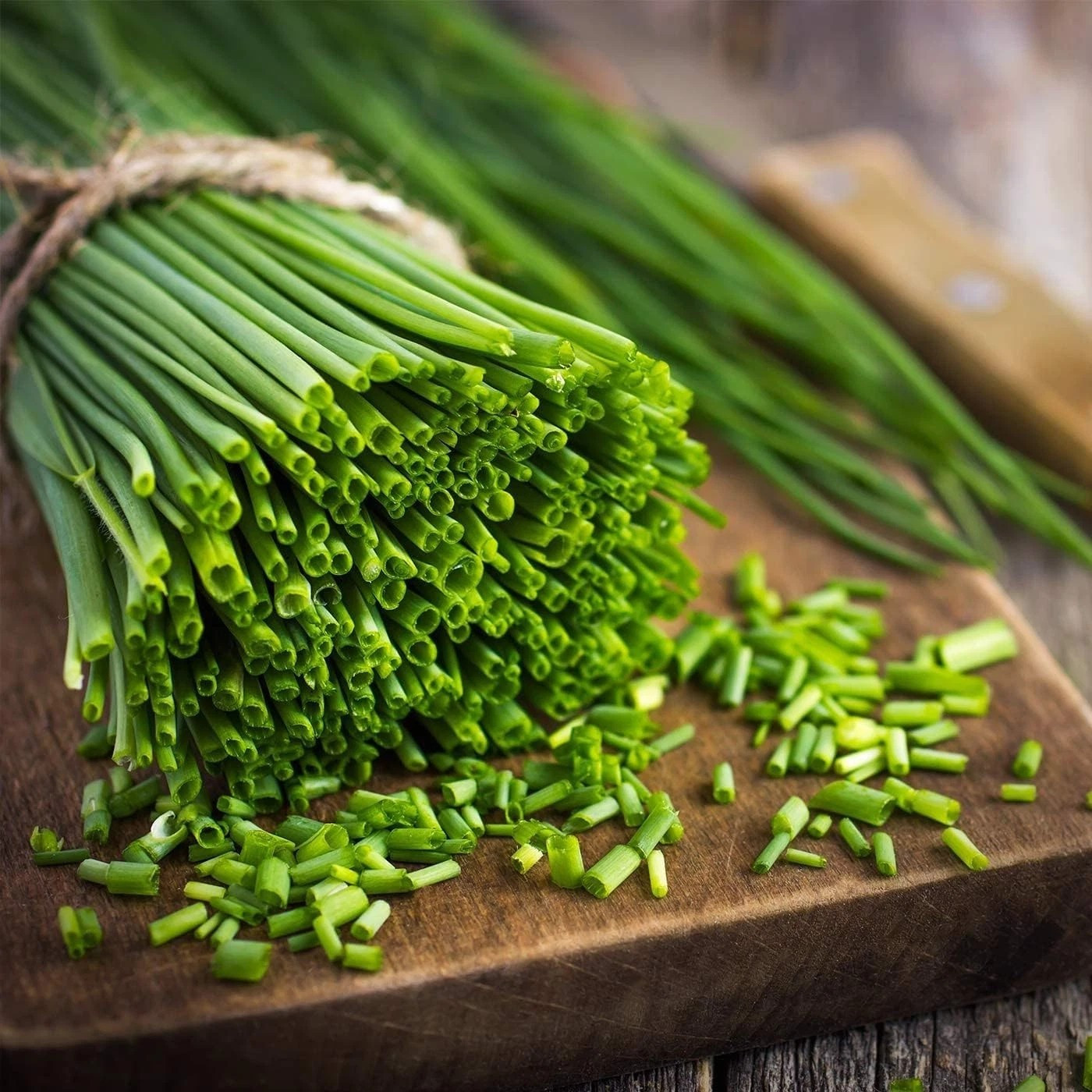 1000+ CHIVES SEEDS — GREEN ONION —– MOSQUITO REPELLENT