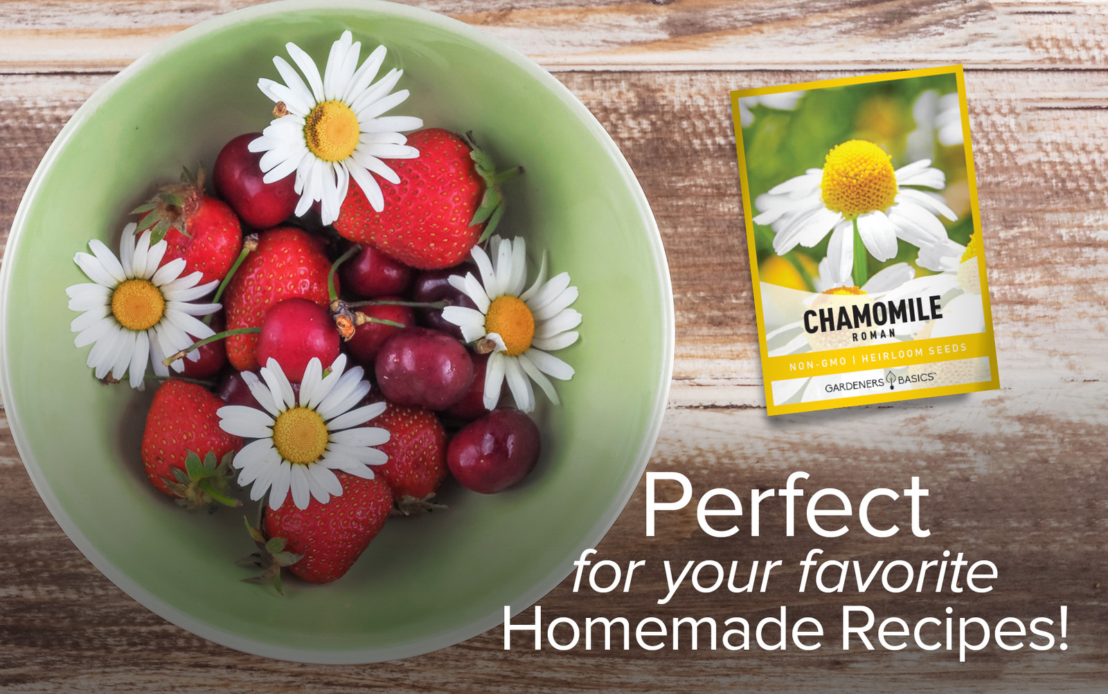 Roman Chamomile Seeds