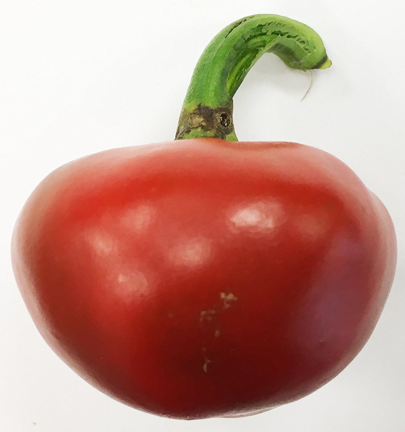 Nora Basque Heirloom Pepper Premium Seed Packet + More