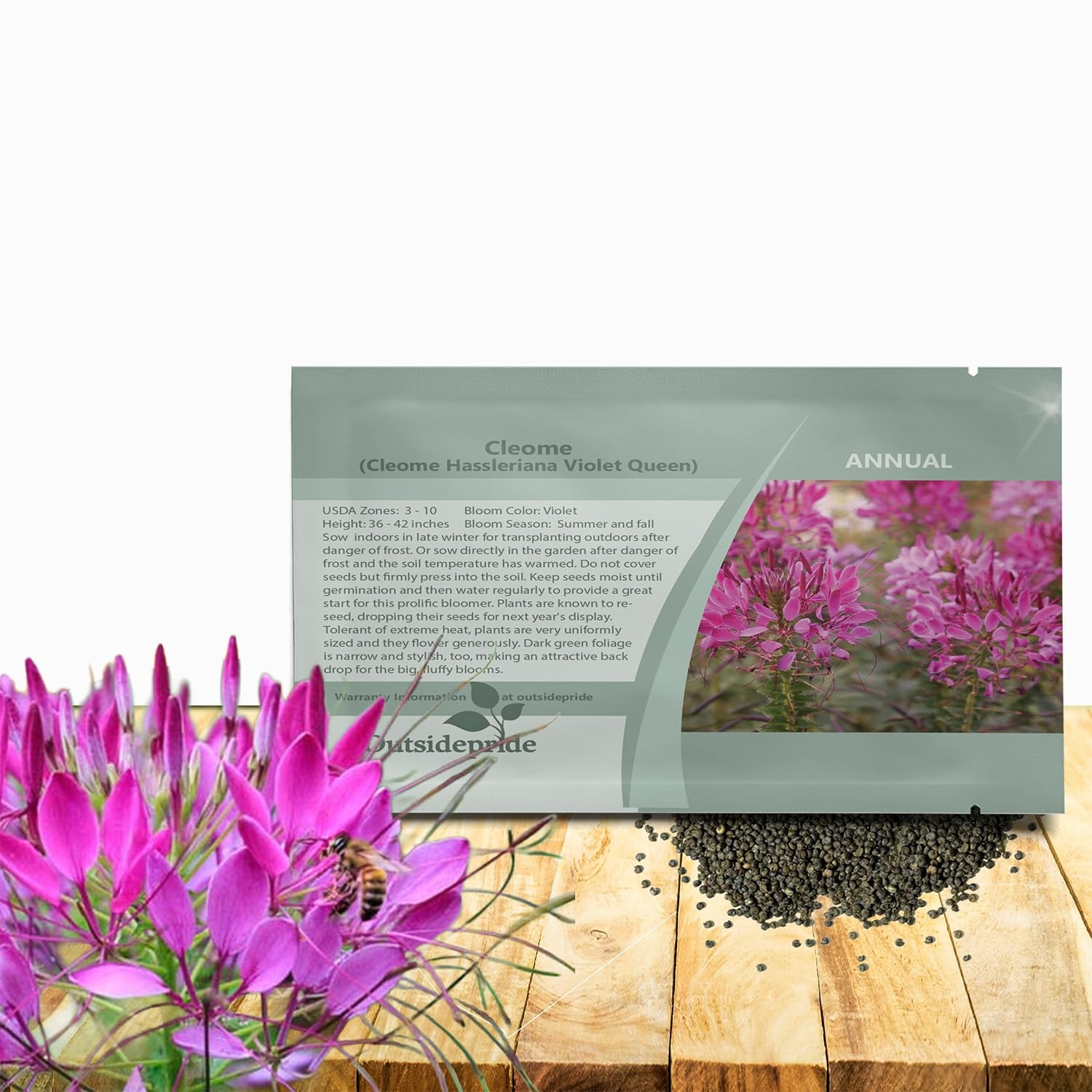Violet Cleome Seeds 1000 Pcs Annual Flower Seeds with Large, Airy, Spidery B…